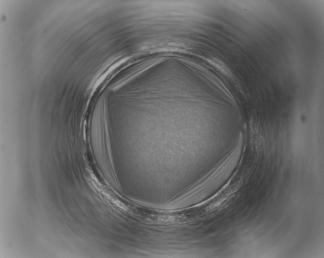 X0000053050790200508011846