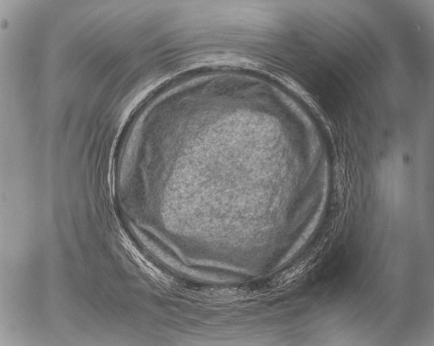 X0000053050791200508011846