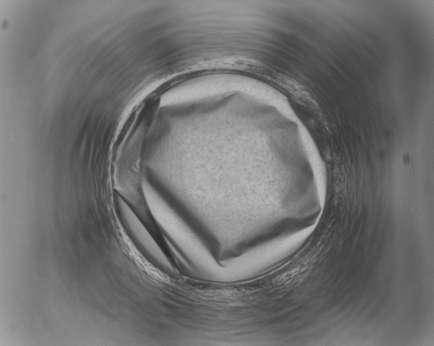 X0000053050792200508011846