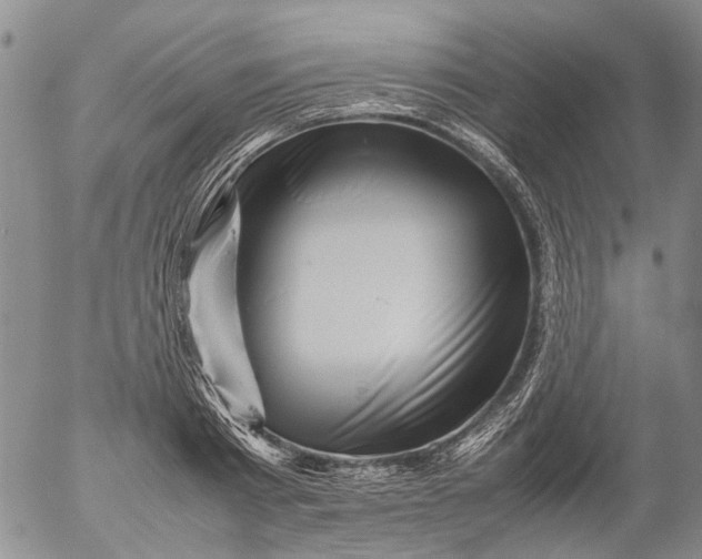 X0000053050793200508011846