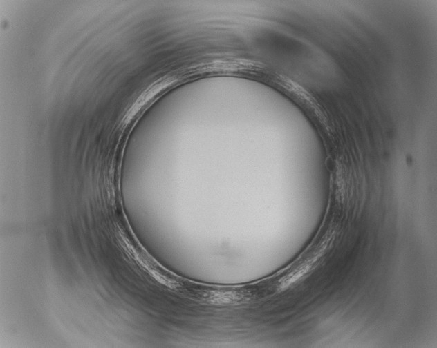 X0000053050794200508011846