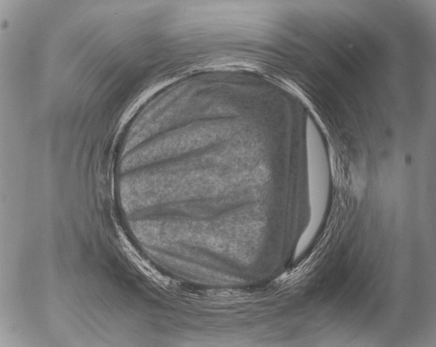 X0000053050795200508011846