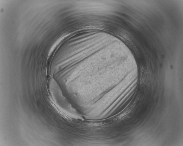 X0000053050796200508011846