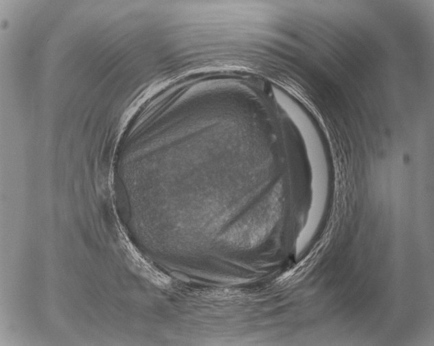 X0000053050797200508011846