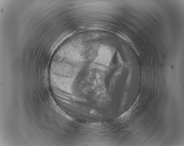 X0000053050798200508011846