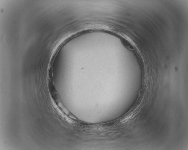 X0000053050799200508011846