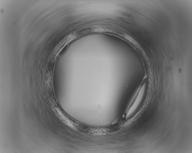 X0000053050801200508011846