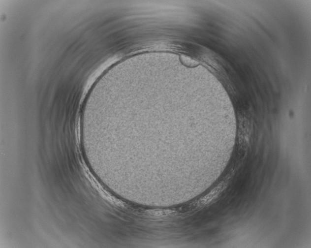 X0000053050804200508011846