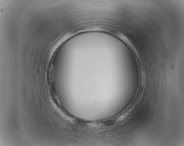 X0000053050805200508011846