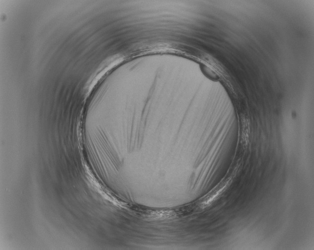 X0000053050806200508011846