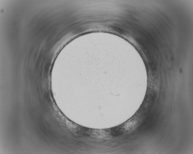 X0000053050807200508011846