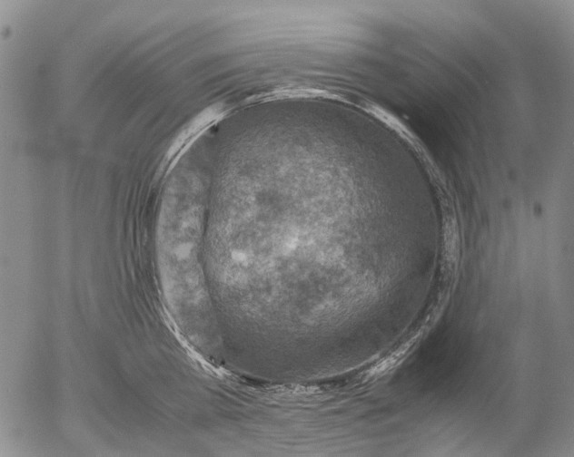 X0000053050809200508011846