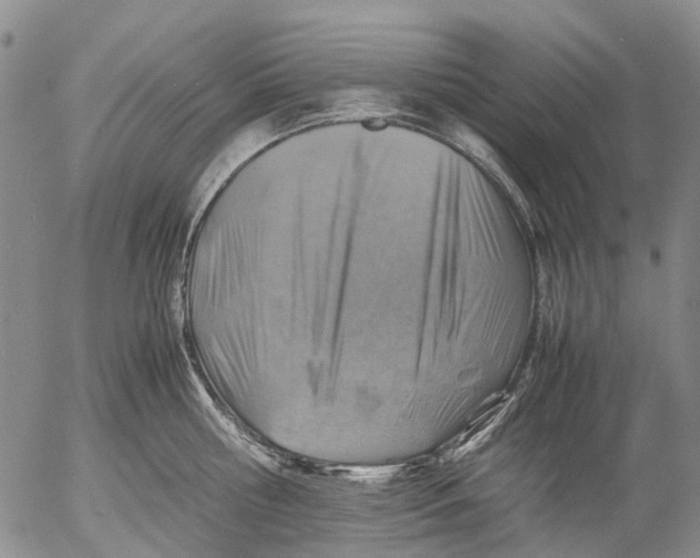 X0000053050810200508011846