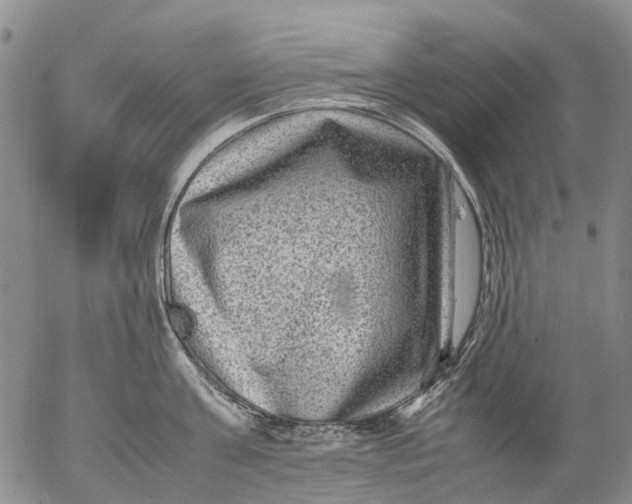 X0000053050811200508011846