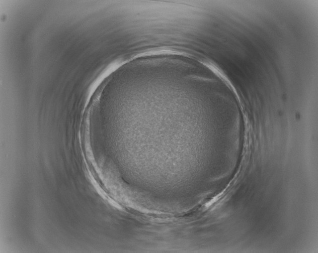 X0000053050813200508011846