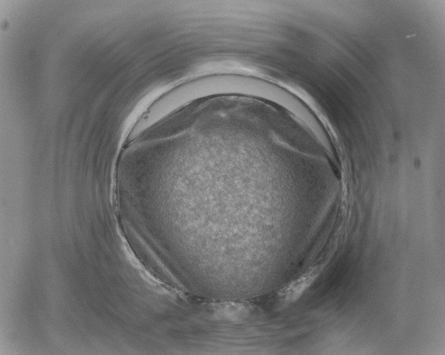 X0000053050815200508011846