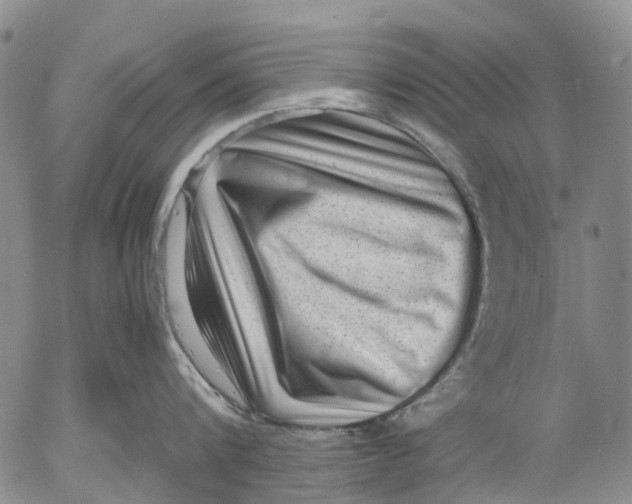 X0000053050816200508011846