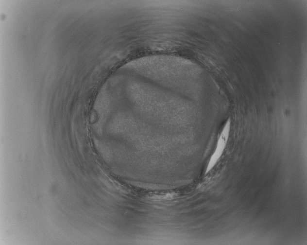 X0000053050817200508011845