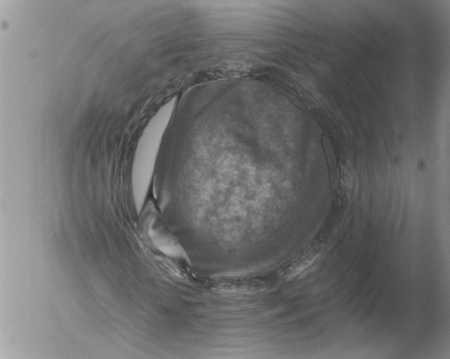 X0000053050818200508011845