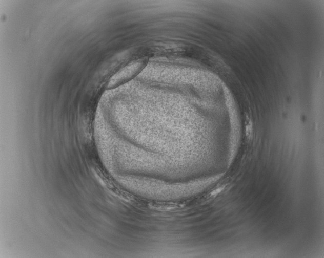 X0000053050819200508011845