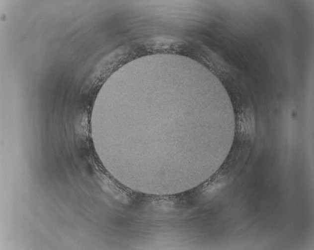 X0000053050820200508011845