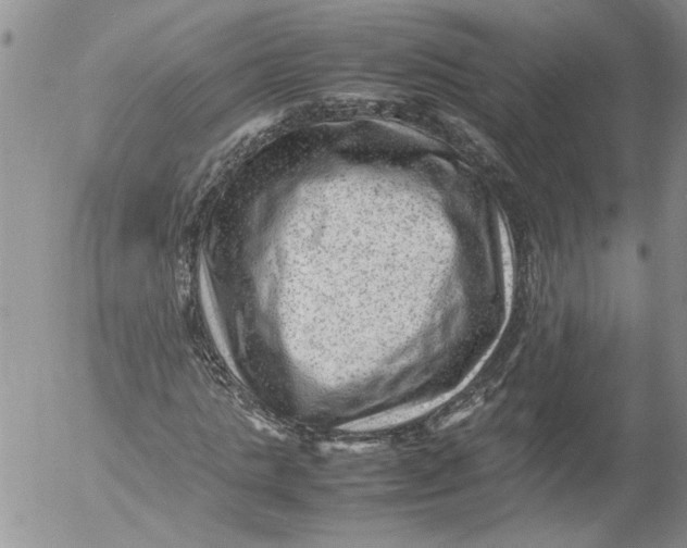 X0000053050821200508011845