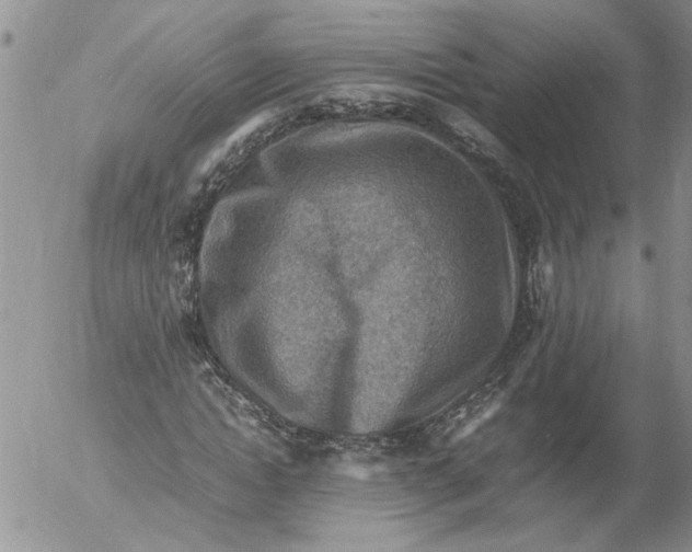 X0000053050822200508011845