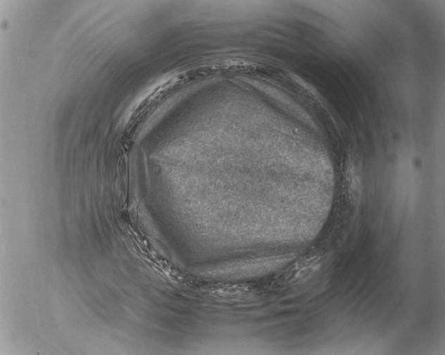 X0000053050823200508011845