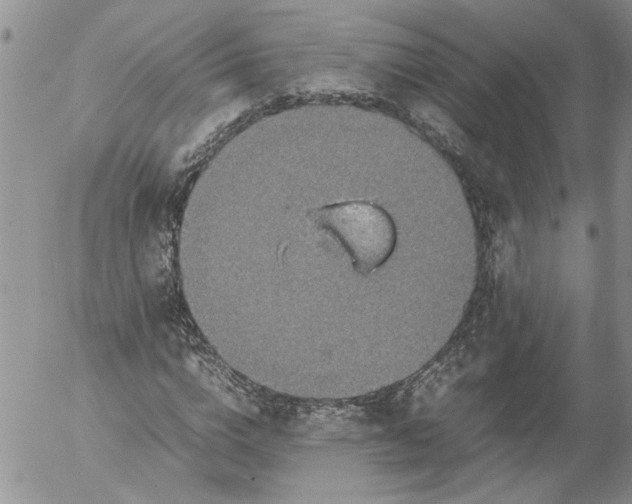 X0000053050824200508011845