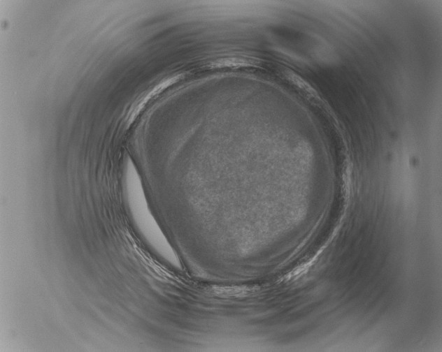 X0000053050825200508011845