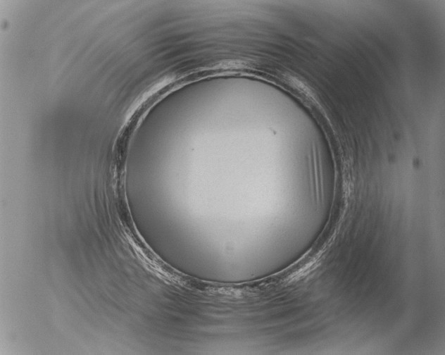 X0000053050827200508011845