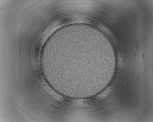 X0000053050828200508011845