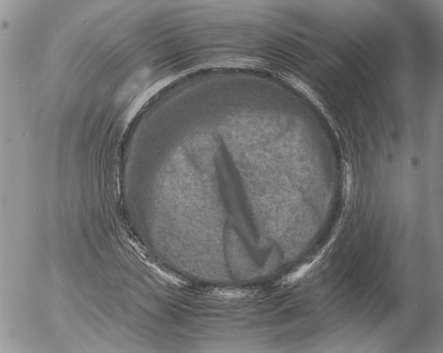 X0000053050829200508011845