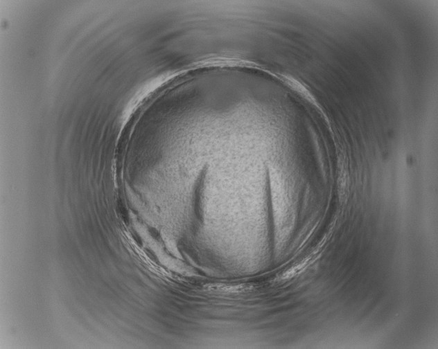 X0000053050831200508011845