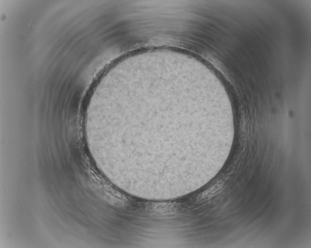 X0000053050832200508011845