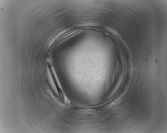 X0000053050833200508011845