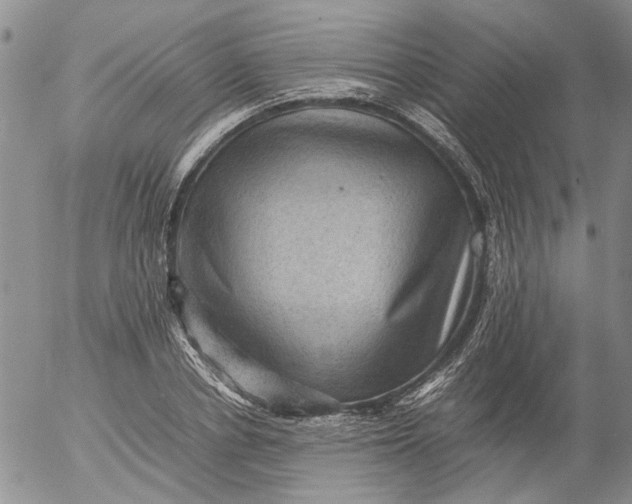 X0000053050834200508011845