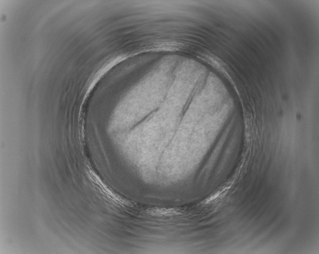 X0000053050835200508011845