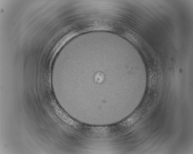 X0000053050836200508011846