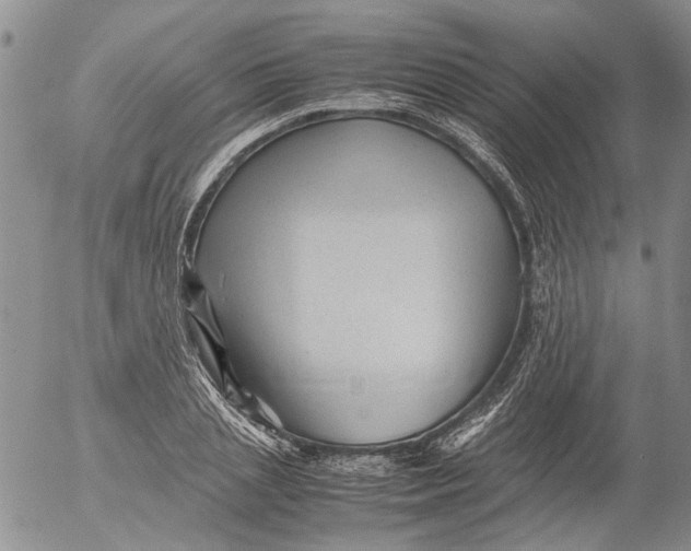 X0000053050837200508011846