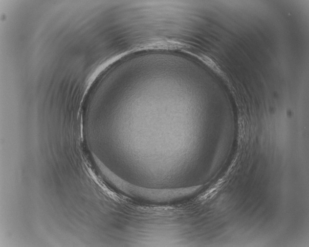 X0000053050838200508011846