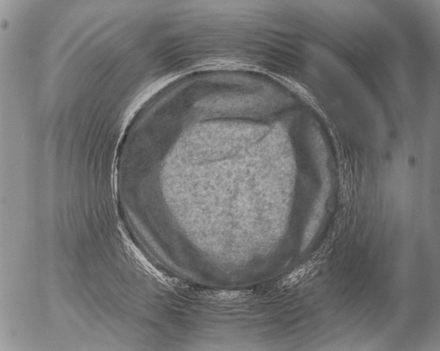 X0000053050839200508011846