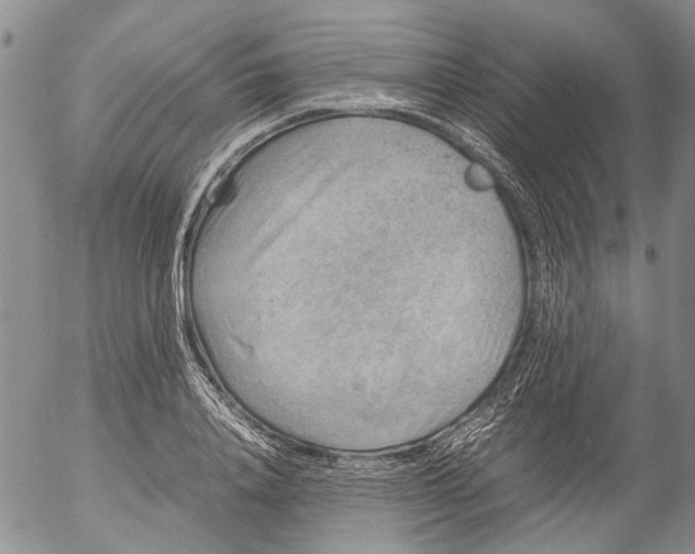 X0000053050840200508011846