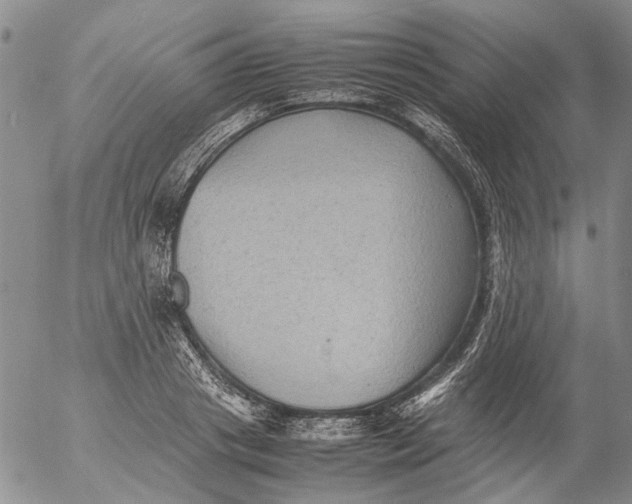 X0000053050841200508011846