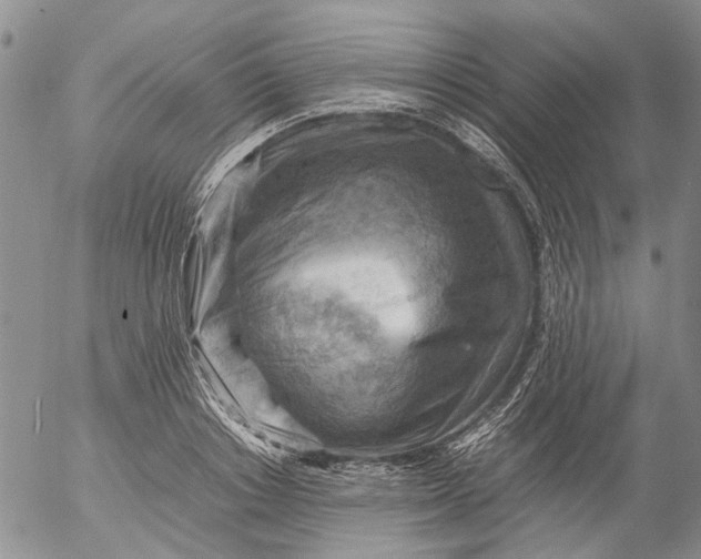 X0000053050842200508011846