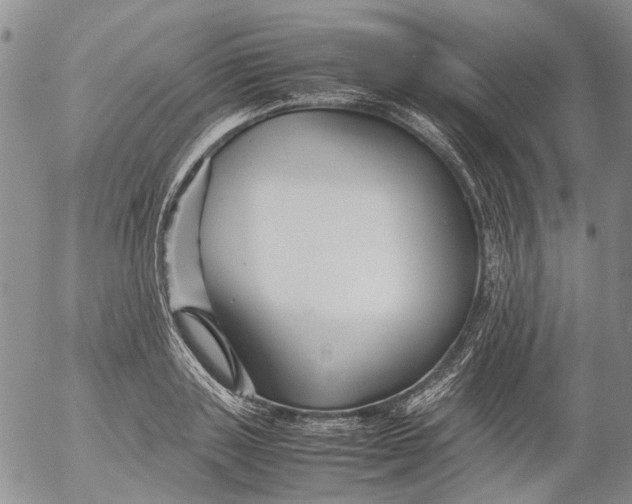 X0000053050843200508011846