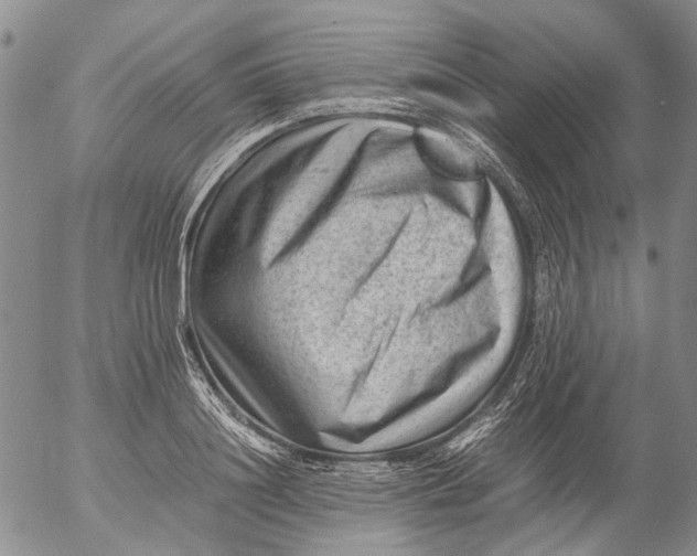 X0000053050844200508011846