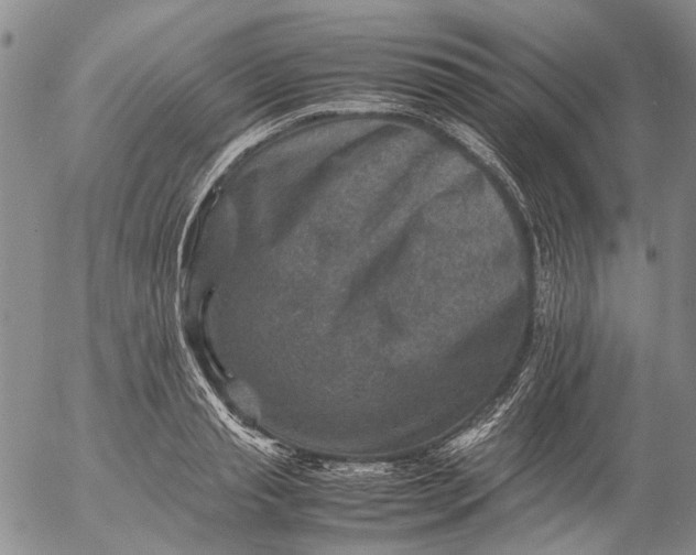 X0000053050845200508011846