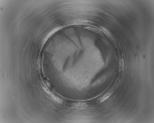 X0000053050846200508011846