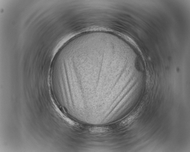 X0000053050847200508011846